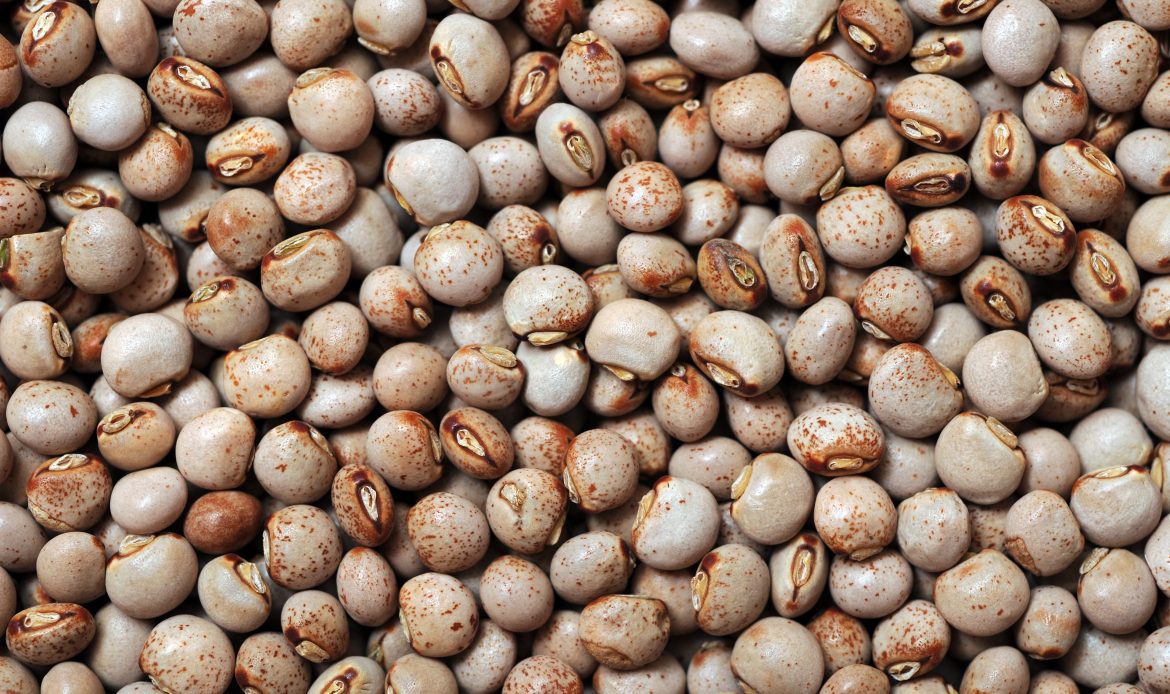 A,Lot,Of,Pigeon,Pea,For,Background,Uses