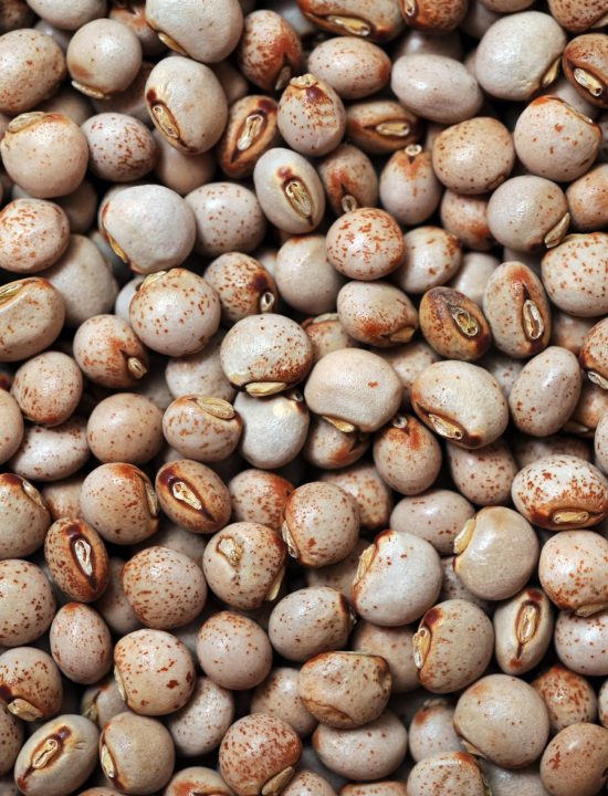 Pigeon Peas