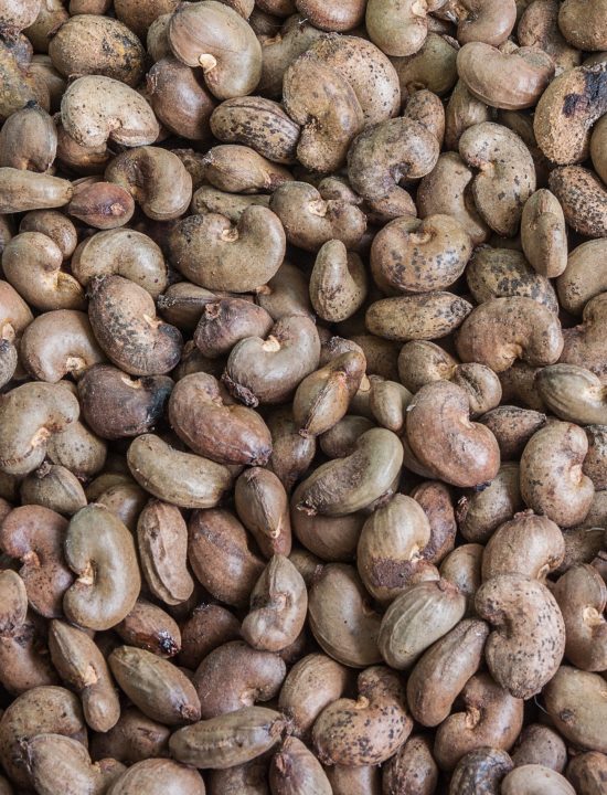 Raw Cashew Nuts