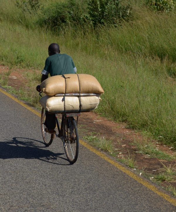 Complete Bicycles & Spare Parts